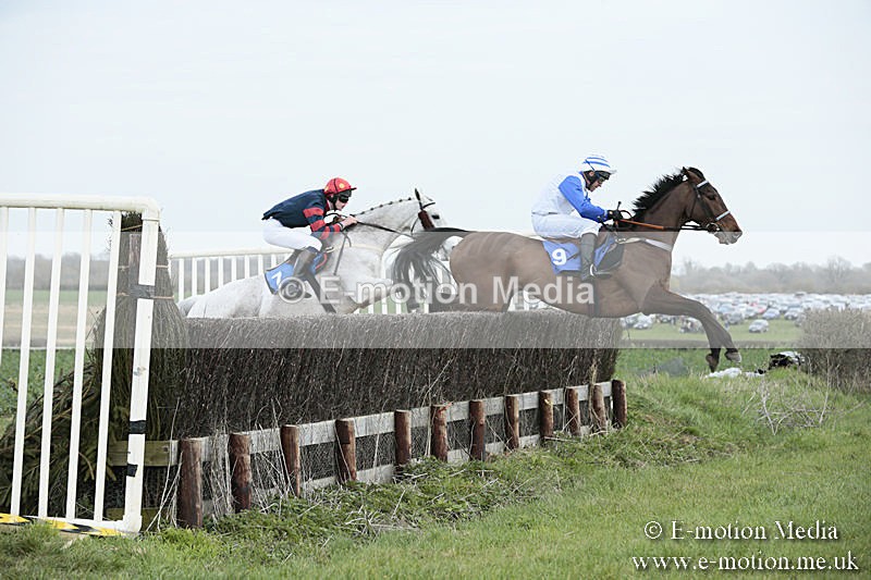 PtP 230319 113 - VWH Hunt Siddington Point-to-Point Racing 23/03/19