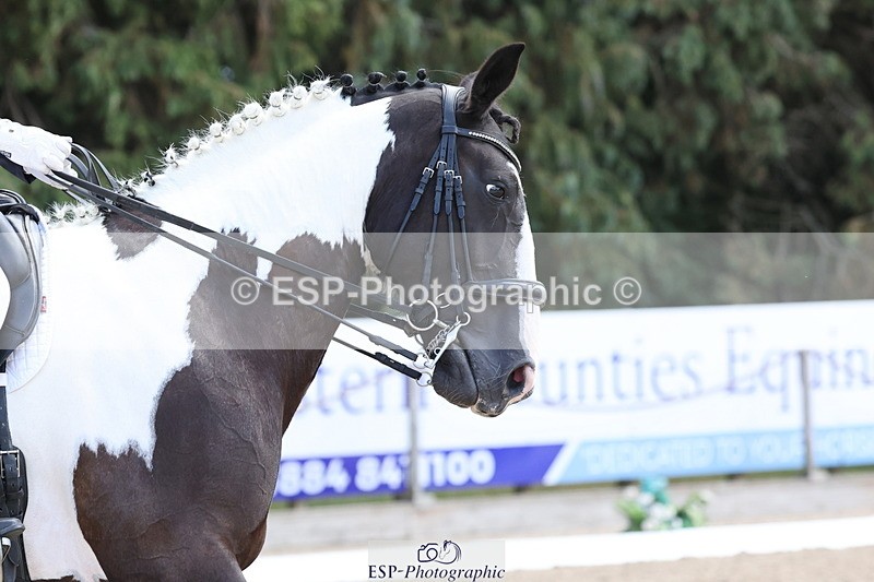 250809A-134827-03798 - 120-Julia.WoodwardLily.1