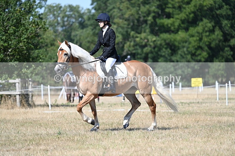 WJ7_0299 - Time 11:33 to 11:44