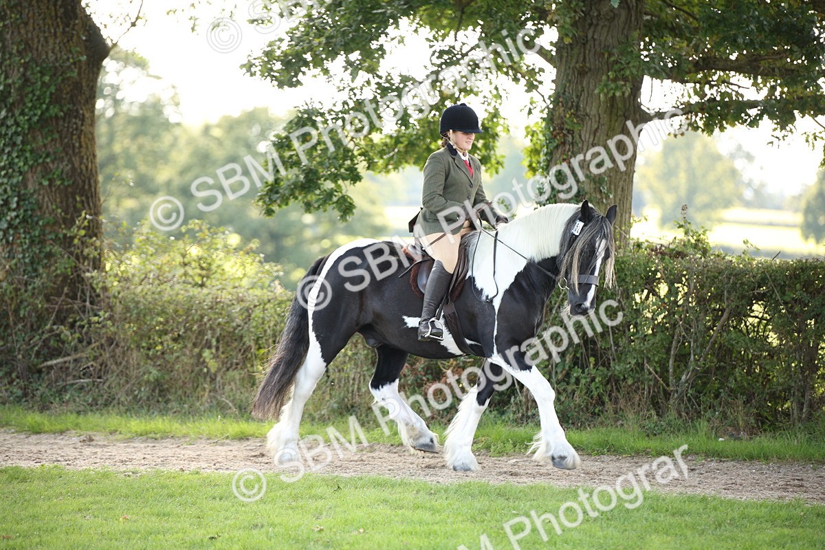 SBM_50112 - S26 - Young Veteran - Ridden