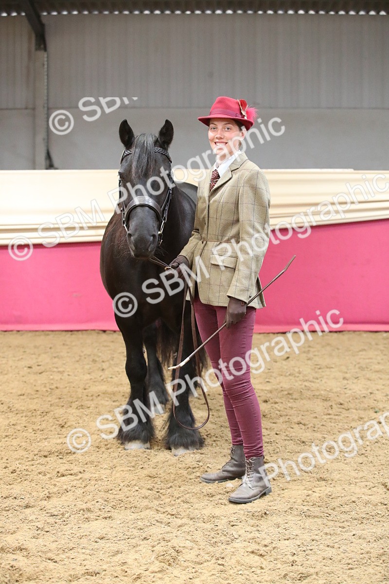 SBM_05730 - Class 9R - Regional IH Pre-Vet