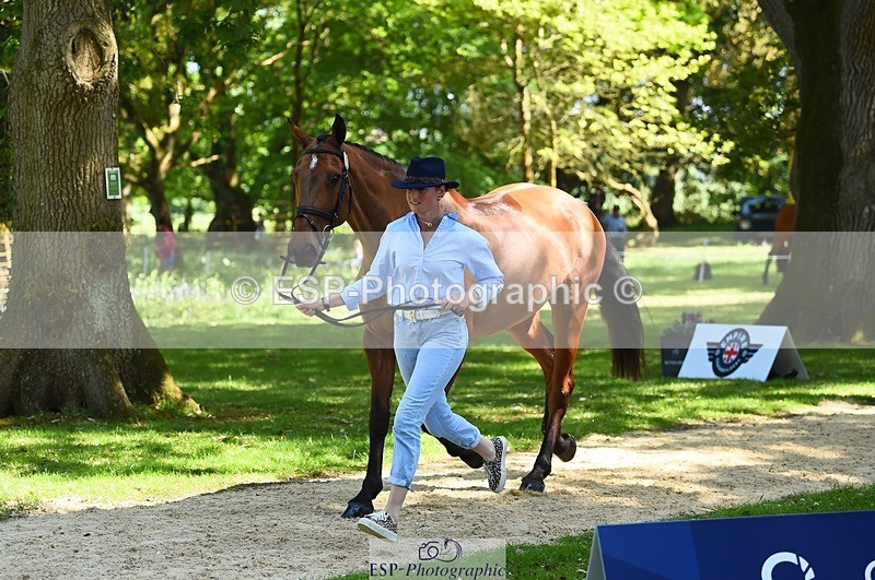 230524-152534-00257 - 327-ROMANTIC-Rosie_Fry-WEDTrotUp+DR