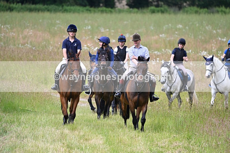 WJ6_7858 - Camera 1 Gallops