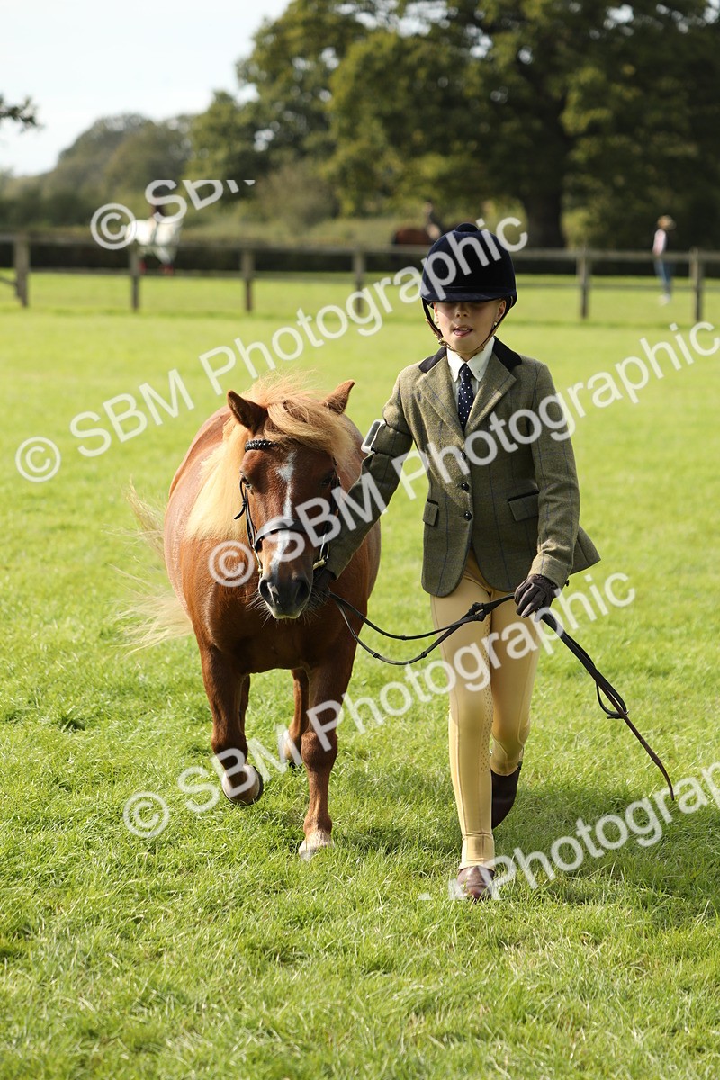 SBM_68653 - S40 - Junior Handler 9-12 Years