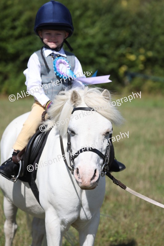 20260906-2341 - Class 16 - Family Pony