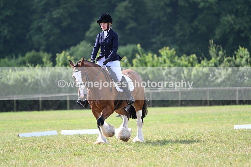 WJ7_1806 - Time 09:00 to 09:22