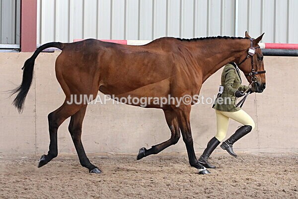 SIAL9813 - Indoor Classes