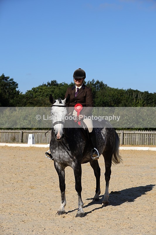 1X9A7693 - Class 8: Small Ridden Hunter