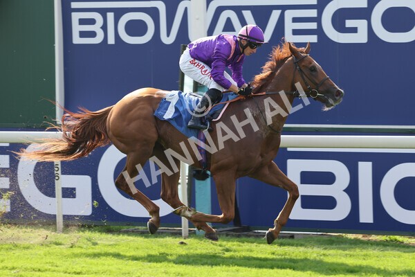 yr05092021r3-15 - Race 3 3.15pm The BioWaveGo Garrowby Stakes