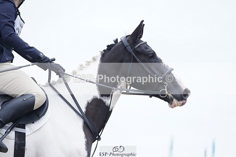 240831A-141758-04072 - 271-Rosie.Ashforth-PABLO.PICASSO