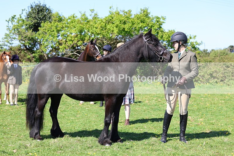 3E7A9872 - Class 17: Young Handler