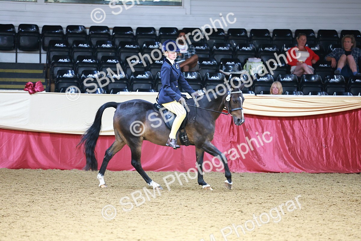 SBM_23838 - Class 905 - Supreme Final - Ridden Veteran