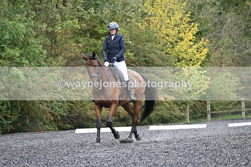 WJ7_6113 - Time 14:10 to 14:45