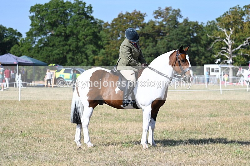 WJ7_2955 - Class 8 Ridden Tack & Turnout