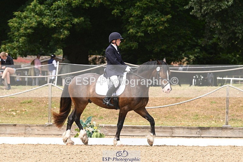 250720A-115838-10103 - 079-Amanda.Williams-Llanarth.Westminster