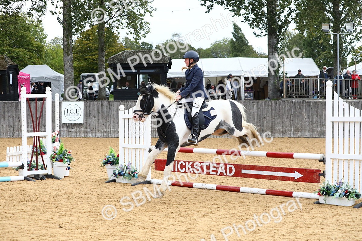 SBM_65126 - Supreme Championship 50cm 60cm 70cm