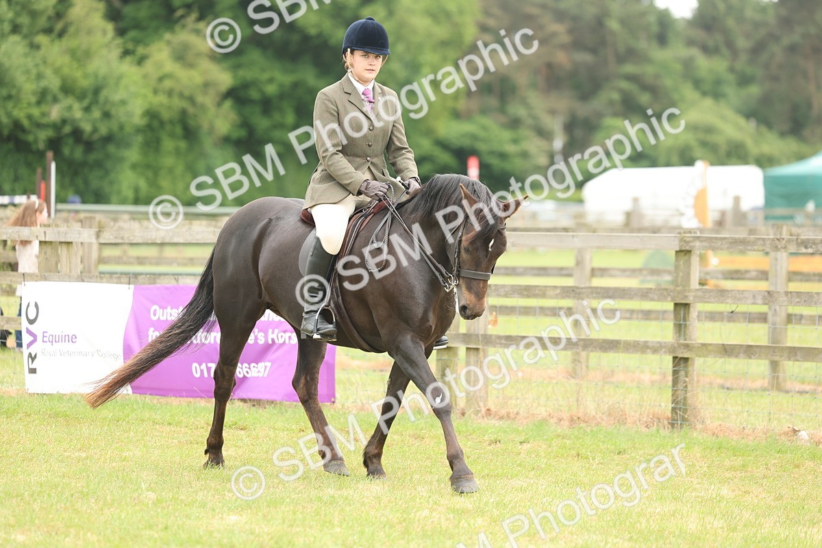 SBM_09088 - Class 78-80 - Ridden M&M Non Welsh Ponies