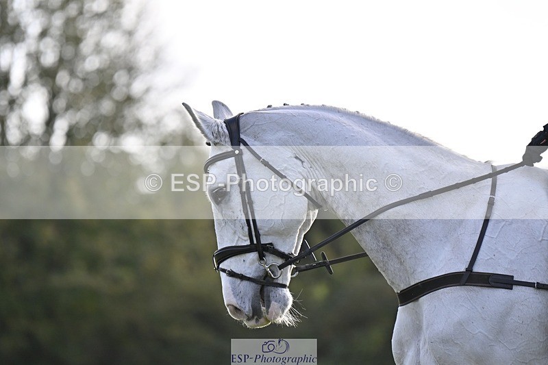 241025-142237-09632 - 386-Sarah.Ulph-COOL.ICE