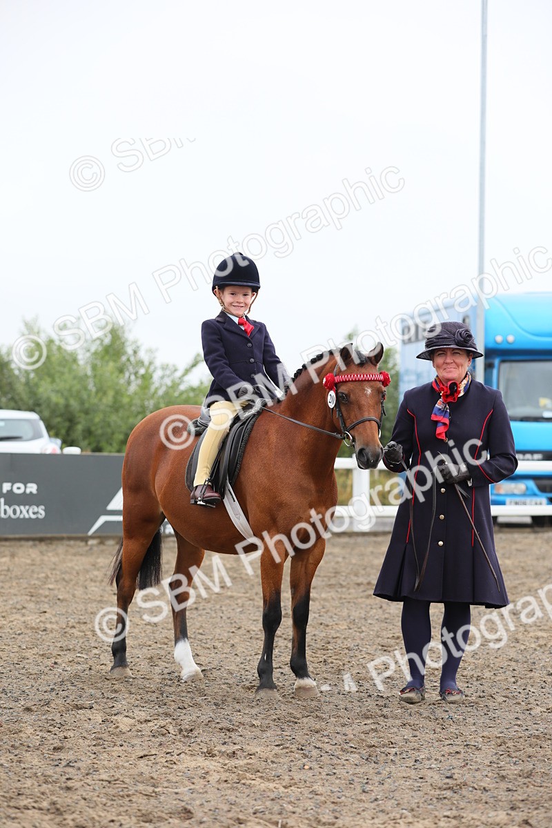 SBM_21736 - Class 806 - Young ridder 10 Yr & Under