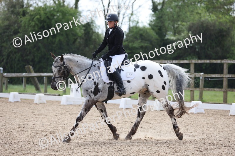 20250424-0739 - Class 5 - Novice 3