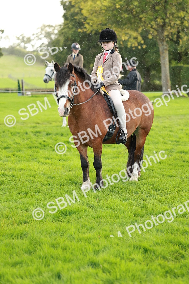 SBM_28911 - S7 - Novice & Newcomer Ridden Pony