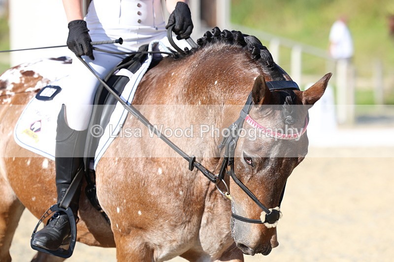 3E7A3631 - Class 2: Intro 1 2024 Section B