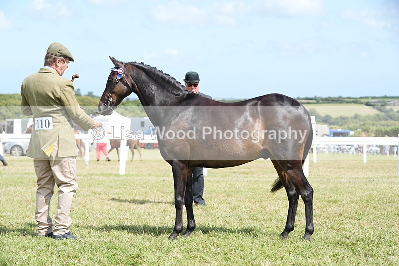 DSC07366 - Class 69: NPS Show Pony 4 years and over