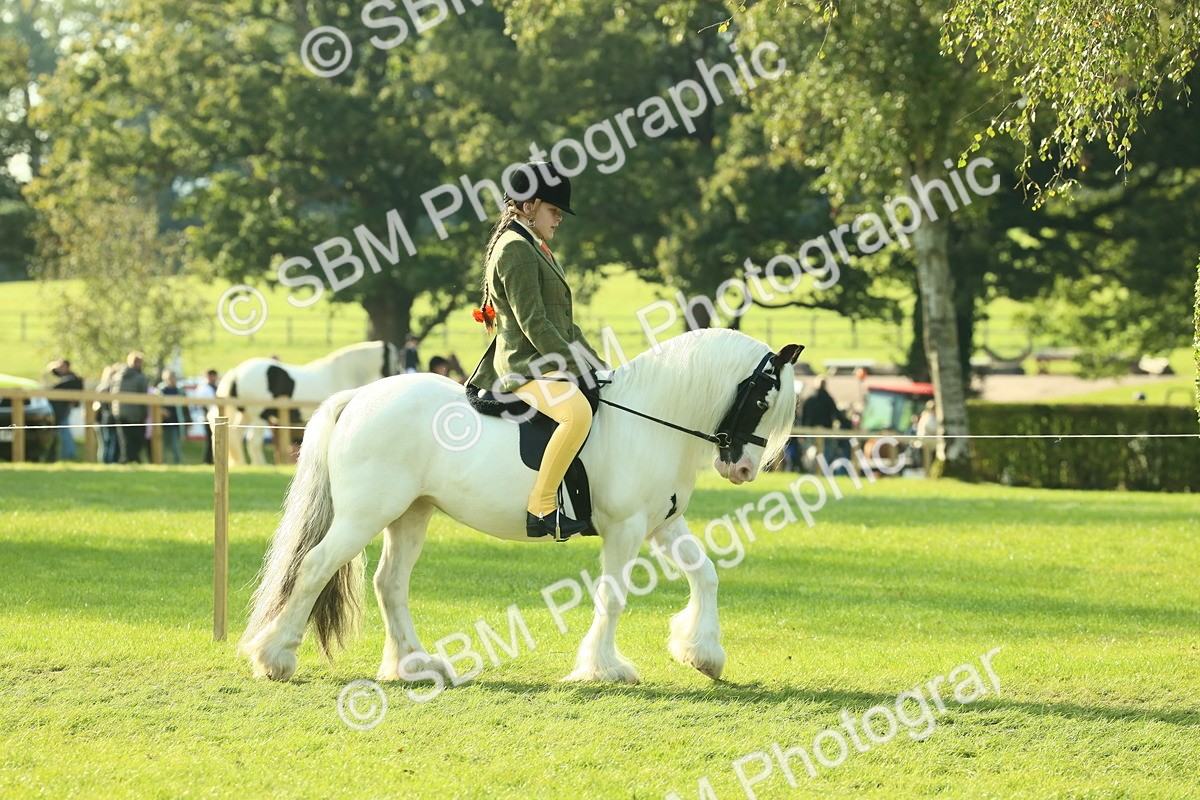 SBM_59298 - S38 - Starters Ridden Showing