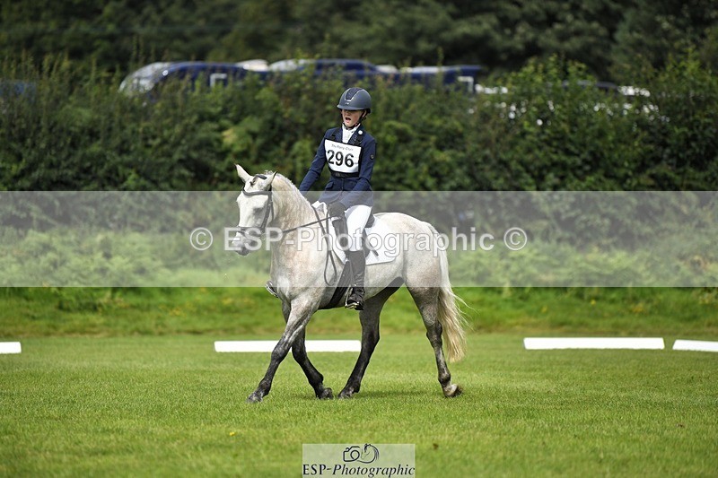 230826-112146-15840 - Sections C & D 10 to End