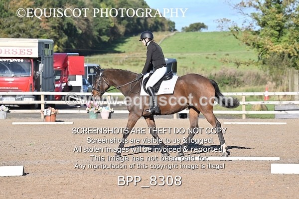 BPP_8308 - SHORT ARENA INTRO 1