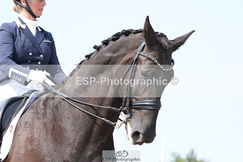 250815-130335-01169 - 017-elaine.scottFlorava