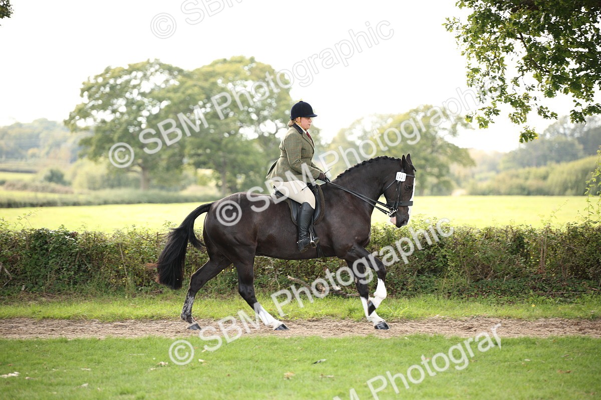 SBM_70379 - S66 - Hunter Ridden