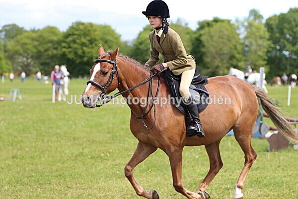 IMG_3351 - Working Hunter
