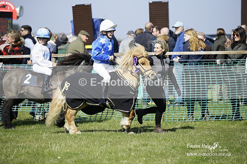 PtP 190322 112 - Wilton Hunt PtP Milborne St Andrew 19/03/22