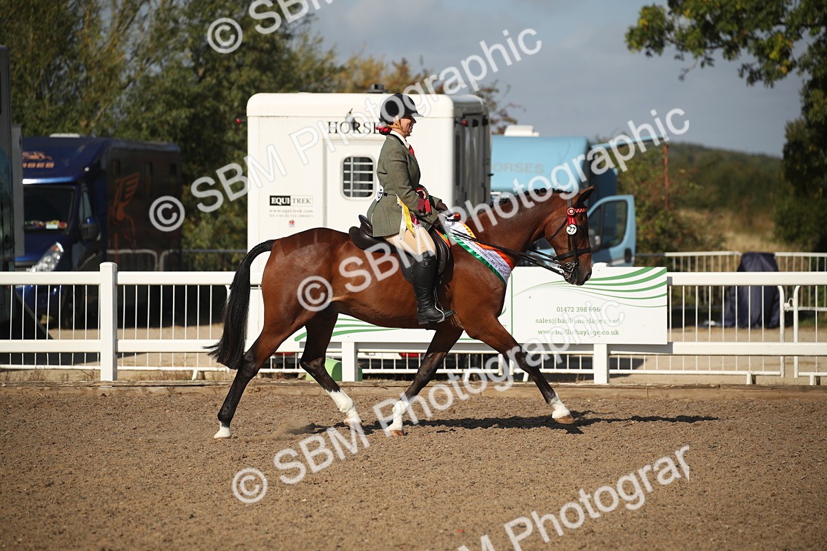 SBM_22741 - Class 601 - 2026 - Area - Ridden Diamond