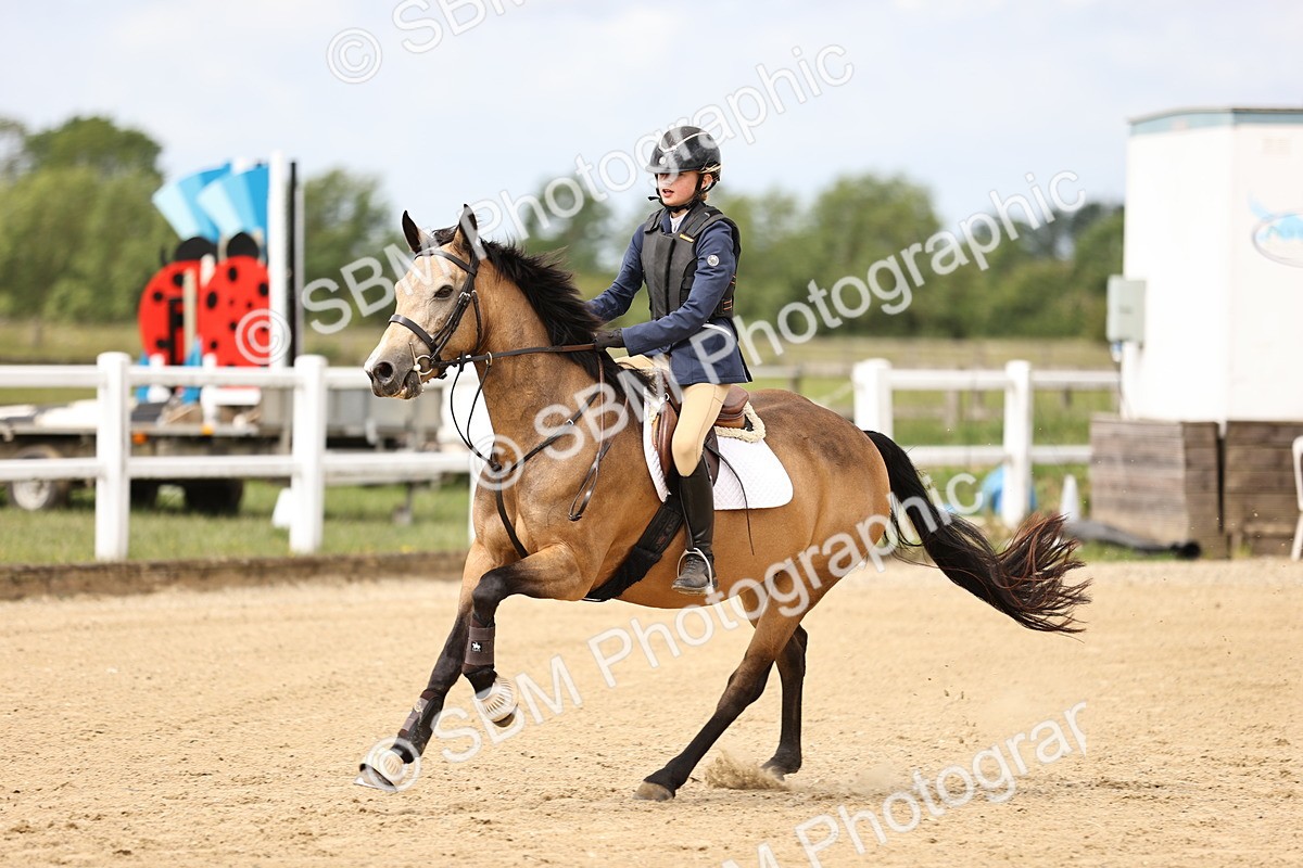 SBM_007086 - Class 2 - 80cm showjumping