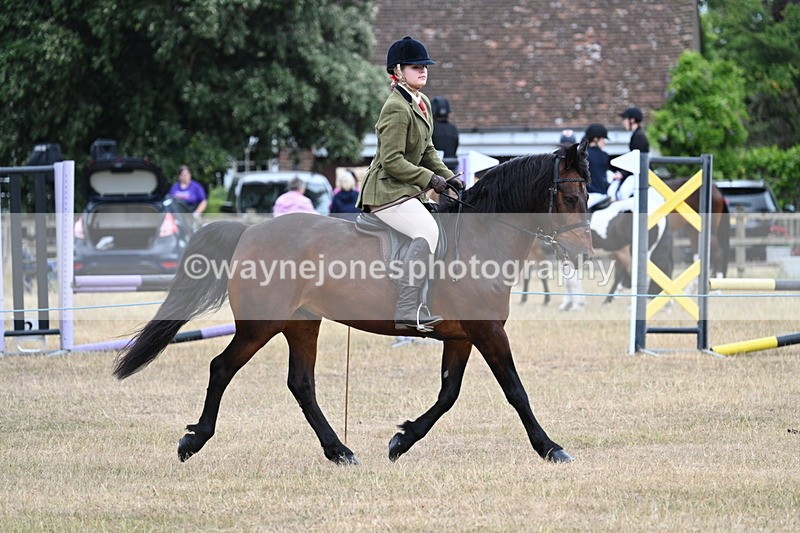 WJ7_0605 - Class 6 Ridden Mountain and Moorland