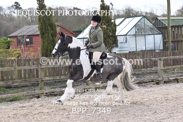 BPP_7349 - RING 1  (RIDDEN HORSES / IN HAND / VETERAN ETC)