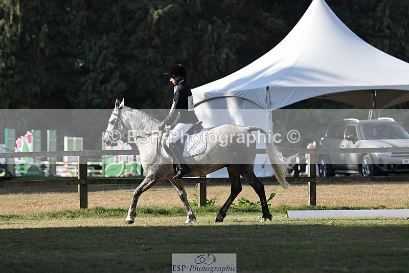 250823A-093755-26888 - Arena C