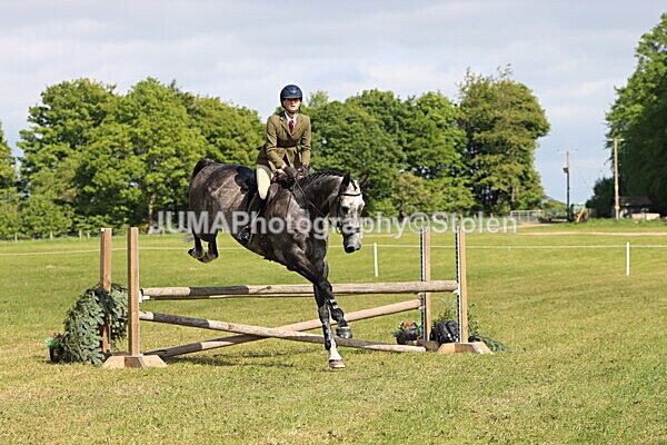 IMG_4846 - Working Hunter
