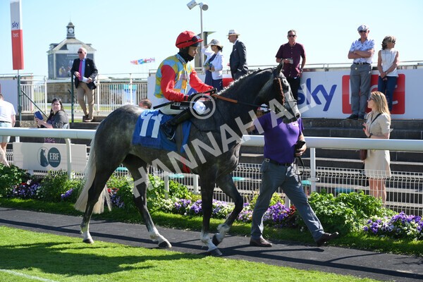  - Race 6 4.50pm The Ice Co supporting Macmillan Stakes