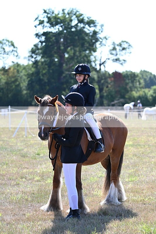 WJ7_3220 - Class 8 Ridden Tack & Turnout