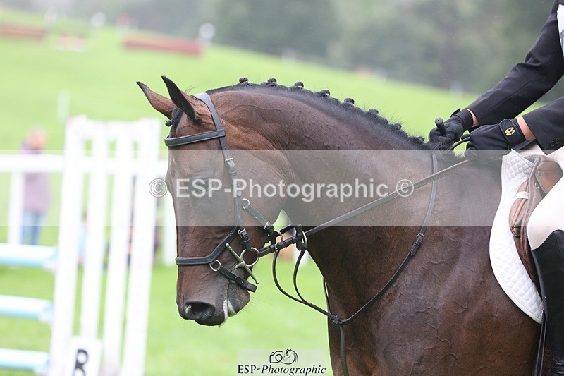 230805-104201-00446 - SJ 10 to 11