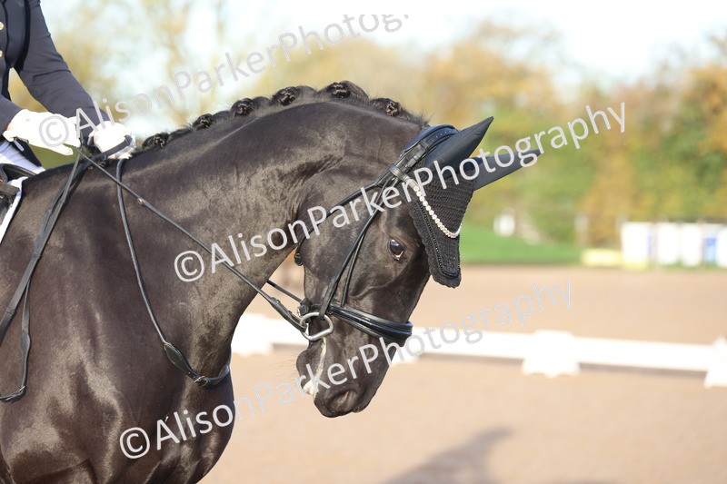 20251102-0060 - Class 1 - Prelim 5