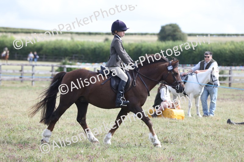 20250831-1245 - Class 15 - Ridden Veteran