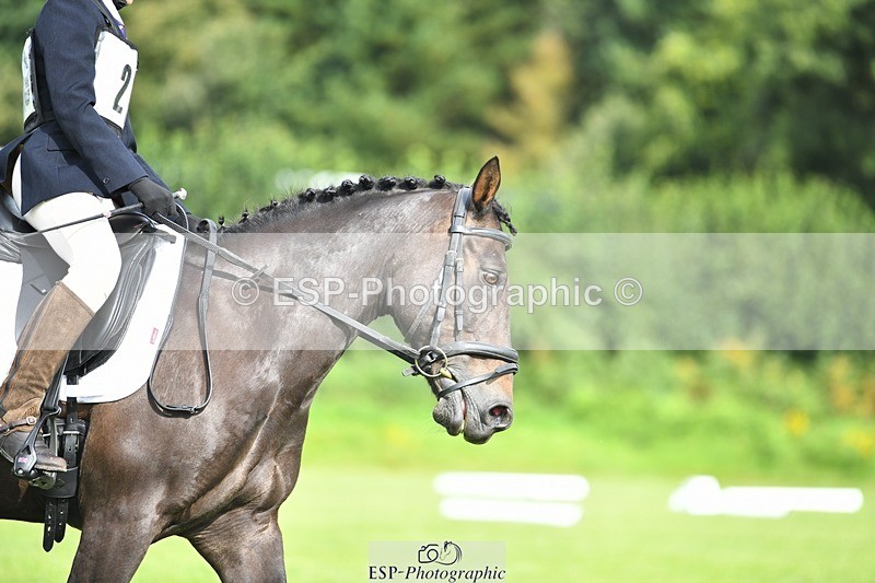 230826-095121-15263 - Sections C & D 9 to 10am