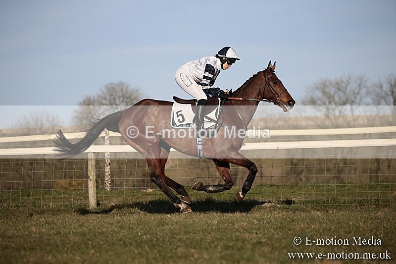 PtP 240218 661 - Vine & Craven Hunt Point-to-Point Barbury racecourse 24/02/18