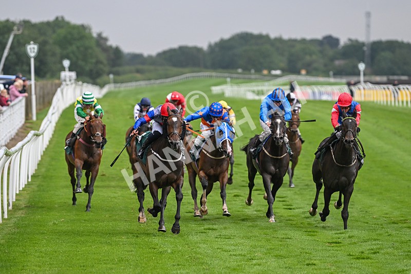 230725-Race 6-Quercus-0594 - Race 6