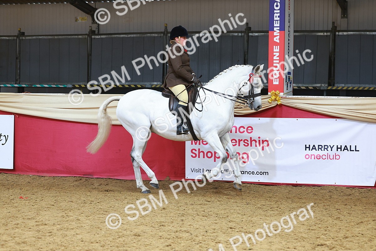 SBM_12442 - Class 103 - HOYS Veteran Qualifier - Ridden Pre Vet