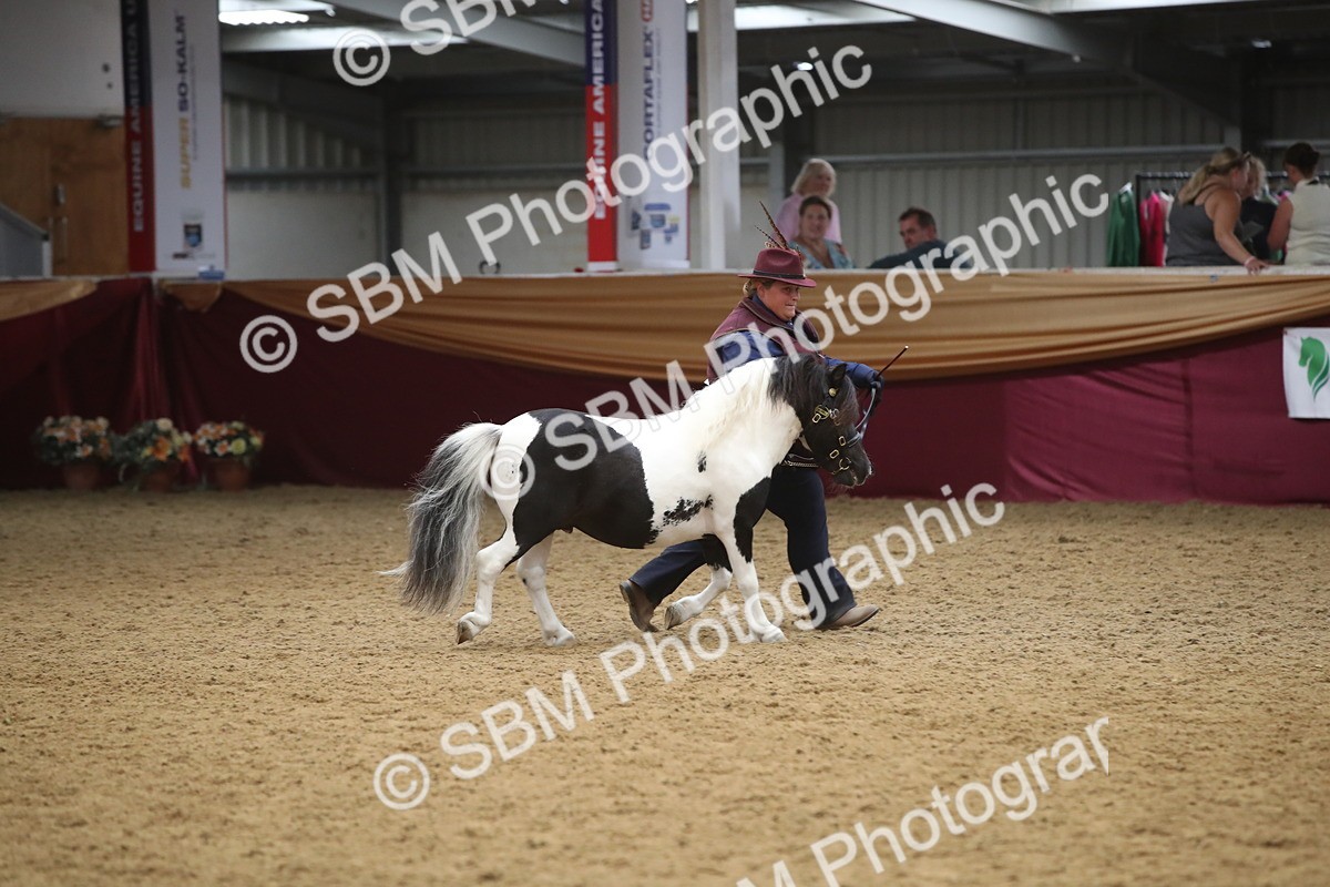 SBM_05719 - Class 9R - Regional IH Pre-Vet